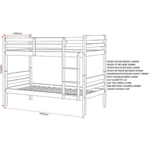 Alfano Single (3') Standard Bunk Bed Natural Wax