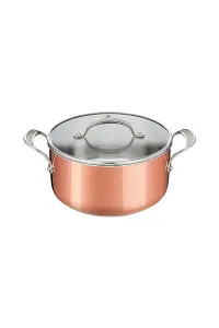 Tefal E4904444 Copper Induction Premium Stewpot 20cm