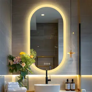 Oval LED Wall Mirror 80cm H x 50cm W