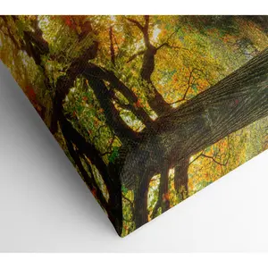 Woodland Bridge Autumn Tranquility - Wrapped Canvas Print 35.6cm H x 50.8cm W