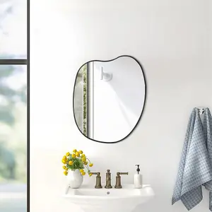 47.5cm W x 61cm H Irregular Mirror Wall Mounted Mirror Metal Framed Bathroom Mirror Decorative, Black