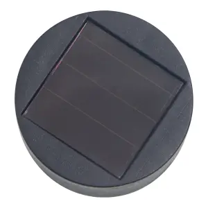 Black Solar-powered Integrated LED Outdoor Stake light