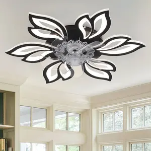 Armentha 65cm Ceiling Fan with LED Lights Black