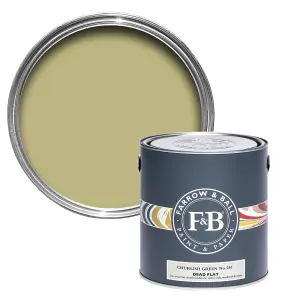 Farrow & Ball Dead Flat Mixed Colour 251 Churlish Green 750ml