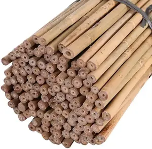 3ft Bamboo Plant Support Pack of 40 Garden Canes