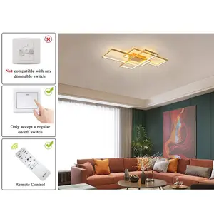 Garwarm Gold LED Ceiling Light with Remote Control, Dimmable Ceiling Lamp 50W, Fixtures for Living Dining Room Bedroom Kitchen