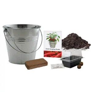 Pronto Seed Cayenne Chilli Pepper Growing Kit with Bucket Planter & Chilli Seeds - Gardening Gifts for Women & Men