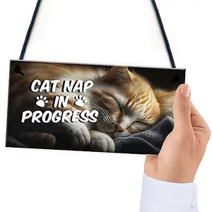 Red Ocean Novelty Cat Signs For Home CAT NAP IN PROGRESS Funny Cat Signs For Cat Lovers Cat Gifts Cat House Sign Friendship