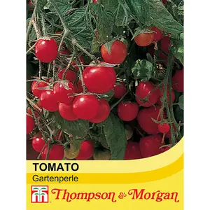 Tomato Gartenperle 1 Seed Packet (20 Seeds)