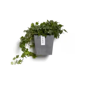 Set of 2 Ecopots Manhattan Wall