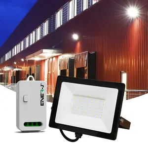 50W LED Floodlight Pre Wired with Eco Series 500W Non Dimmable RF WiFi receiver APP control remotely or Voice C