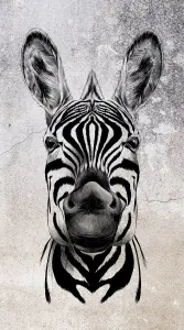 Cool Zebra Digital Wallpaper Black & White