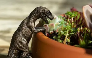 Velociraptor Plant Pot Hanger - L10.5 x W4.5 x H5 cm