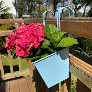 Duck Egg Blue Balcony Hanging Planters (Set of 2)