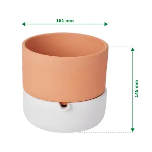 Verve Terracotta & white Clay Plant pot (Dia) 16.1cm, (H)14.5cm, 600ml