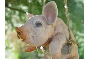 Hanging Pig Outdoor Garden Ornament