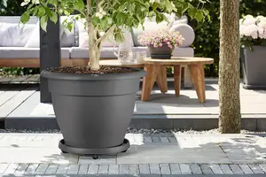 Elho Universal Round Planttaxi 35cm for Plastic Plant Pots in Anthracite