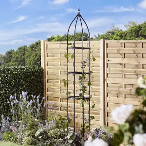 Metal Climbing Plants Obelisk, Steel Garden Flower Cage Support, Clematis, Roses & Vegetables (1, 2.2m)