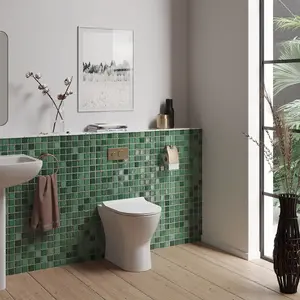 Dezine Alto Back To Wall Toilet with Soft Close Seat