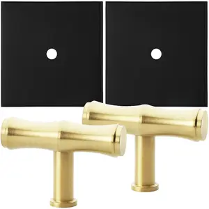 2 PACK - Cabinet Door Knob & Contrasting Backplate Set - Bamboo T Bar Pull - Satin Brass & Matt Black