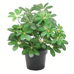 55cm Dark Green Artificial Schefflera Arboricola Plant