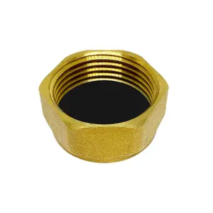 Plumbsure Brass Compression Cap (Dia)19mm