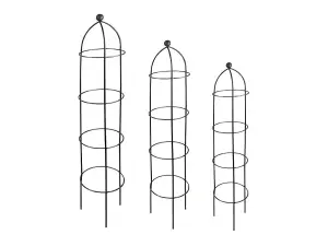 Growing Obelisks Coated in Black - Set 3 sizes (S,M,L)