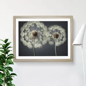 Creative Dandelion Flowers - Single Picture Frame Print Oak / 34cm H x 46cm W x 2cm D