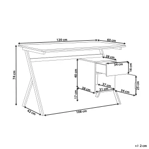 Home Office Desk with Storage Light Wood ASHLAND