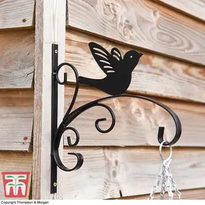 King Swallow Outdoor Garden Bracket Black Decorative Sturdy Metal Bracket for Hanging Baskets Bird Decoration with Wall Fixings x4