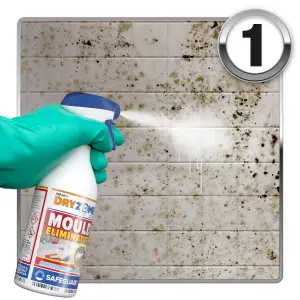 Dryzone Mould Remover and Prevention Kit (3 x 450ml Spray) Dual-Action solution, Fast-Acting eliminates mould and prevent regrowth