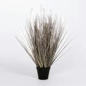 Blooming Artificial - 60cm / 2ft Grey / Pink Artificial Pennisetum Grass