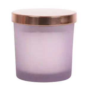 Something Different Abundance French Lavender Scented Candle Purple/Frosted (One Size)