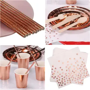 Rose Gold Party Tableware Disposable Dinnerware Set - Baby Blue