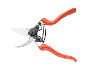 Spear & Jackson 6659BS Razorsharp Professional Heavy Duty Bypass Secateurs