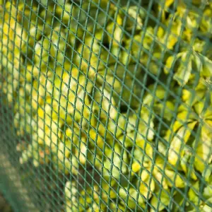 Nature Garden Screen Square Mesh 5x5 mm 1x3 m Green