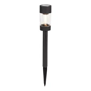 Black Solar-powered Integrated LED Outdoor Stake light