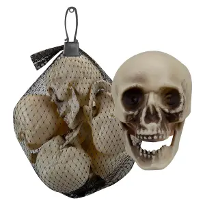 Halloween Skulls Decoration Pack Trick or Treat Party 17cm White