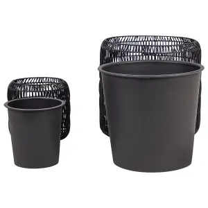 Set of 2 Plant Pots BRODIEA PE Rattan Black