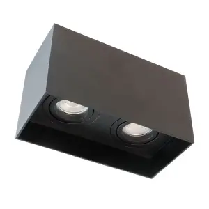 Luminosa Clark Double Spotlight 2xGU10 Surface Mounted Black