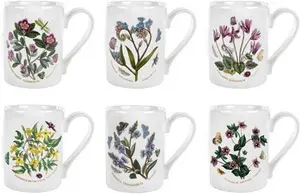 Botanic Garden 6 Piece Coffee Mugs Set Portmeirion