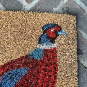 Pheasant Indoor & Outdoor Coir Doormat