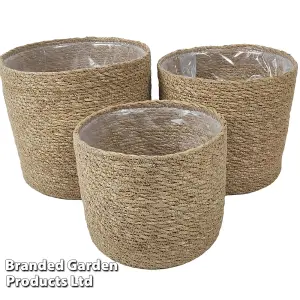 Indoor Planter Basket Natural Seagrass Set of Three 20cm, 18cm & 16cm Diameter Garden Gear