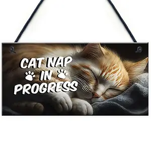 Red Ocean Novelty Cat Signs For Home CAT NAP IN PROGRESS Funny Cat Signs For Cat Lovers Cat Gifts Cat House Sign Friendship