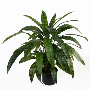 60cm Artificial Calathea Plant Variegated