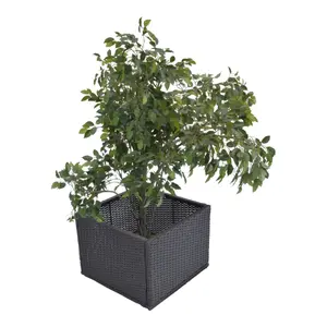 Canadian Spa Company Rattan effect Square Planter (H)121cm (W)66cm