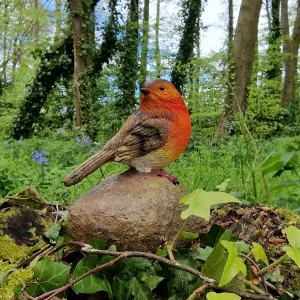 Robin on a Stone Resin Garden Ornaments (Set of 2)