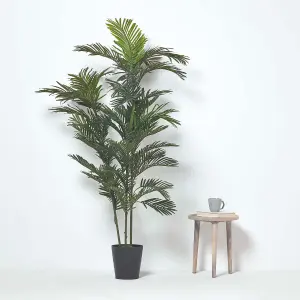 Homescapes Areca Palm Tree in Pot, 120 cm Tall