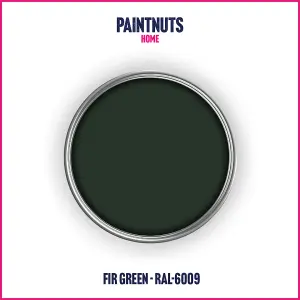 PaintNuts UPVC Door & Window Satin Paint - Fir Green - 400ml Spray Can (RAL6009)