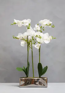 Fiori White Orchid Plant in Rectangular Pot Artificial Plant Foliage